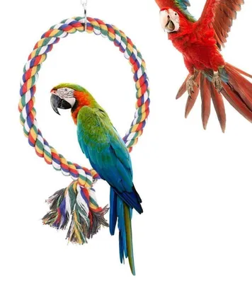 Produktbild von Vogel Kletterring Kauspielzeug Buntes Baumwollseil Schaukel Stehendes Spielzeug für kleine und mittelgroße Vögel