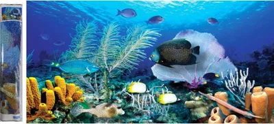 Immagine prodotto di 80x40 cm Pittura a diamante fai da te Pittura a diamante Oceanarium