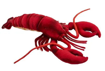 Produktbild von Hansa Toy 6093 Hummer 40 cm Kuscheltier Stofftier Plüschtier
