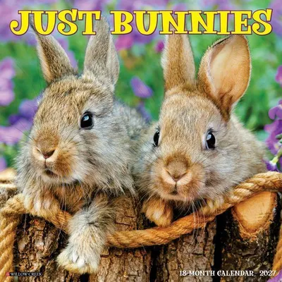 Produktbild von Bunnies 2027 12 X 12 Wall Calendar