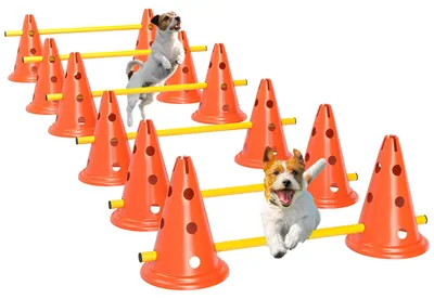 Immagine prodotto di Set PawHut per agility: attrezzatura da agility in 6 pezzi per l'addestramento dei cani