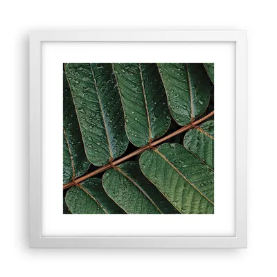 Produktbild von Gerahmtes Poster - Weißer Rahmen - Tropfen Wasser Blätter - 30x30 cm - Wand Bild - Wanddeko - Wandbilder - Kunstposter - Wandposter - Bilderrahmen - Bilder - Kunstdruck - Wandbild - P2WAC30x30-4328