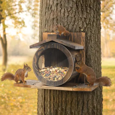 Produktbild von Eichhörnchen Futterhaus Holz Wetterfest - Futterstation mit 2 Eingänge für Eichhörnchen im Garten & Balkon