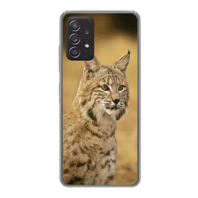 Produktbild von MuchoWow® Handyhülle Schutzhülle Hülle für Samsung galaxy a73 Luchs - Braun - Gras Silikon Softcase Handy Hülle - Handyhülle