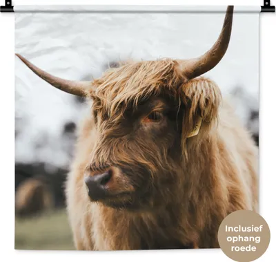Produktbild von MuchoWow® Wandteppich Wandbehang Schottisches Hochlandrind - Tiere - Hörner 60x60 cm Tapisserie Dekoration Wandtuch - Dekorationen - Wand Decke