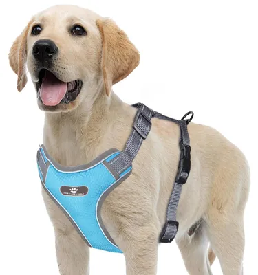 Image de Harnais anti-traction réglable pour chien avec bandes réfléchissantes