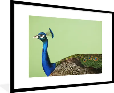 Produktbild von MuchoWow® Gerahmtes Poster Pfau - Vogel - Federn 90x60 cm - Poster mit Schwarzem Bilderrahmen Wandposter Rahmen Foto Bilder - Wanddekoration - Fotos