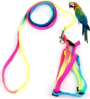 Produktbild von Vogelgeschirr und Leine mit Schnalle – Niedliches Regenbogen-Design, Verstellbar, Anti-Biss Trainingsseil für Papageien und große Vögel, Größe M