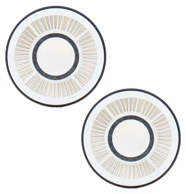 Produktbild von Genius INVICTUS X6 PRO Filter Set 2-tlg. Zubehör Filter Staubsauger Kabellos mit Display, hygiene Filter, Akkusauger, Teppich, Tierhaare