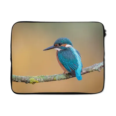 Produktbild von MuchoWow® Laptop Hülle 15 Zoll Vogel - Eisvogel - Tiere - Zweig Laptoptasche - Laptoptasche - Sleeve - Rundum-Schutz