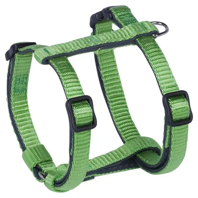 Immagine prodotto di Imbracatura Nobby "Classic Preno" Mini L: 30-40 cm; L: 10 mm, verde