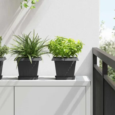 Produktbild von Quadratisches Blumentablett 24 pcs Schwarz 15 x 15 x 2 cm - Beete DE833