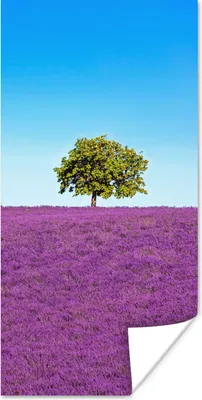 Produktbild von MuchoWow® Poster Baum - Lila - Himmel - Lavendel 60x120 cm - Wandschmuck
