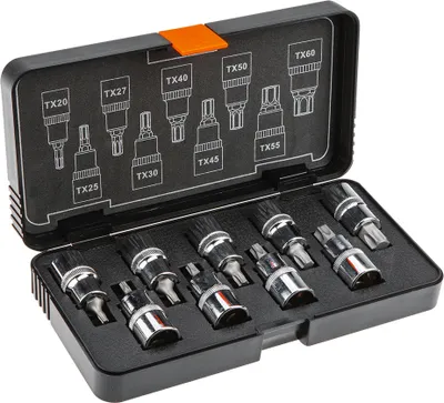 A set of Torx bits in a black case.
