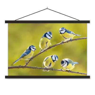 Produktbild von MuchoWow® Textilposter Vogel - Blaumeise - Äste - Sonne 150x100 cm mit schwarzem Rahmen - Schlafzimmer