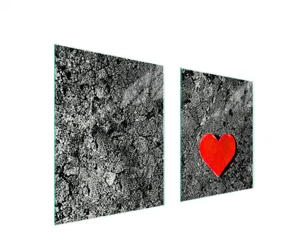 Immagine prodotto di Piastra Protettiva In Vetro Per Cuore 85X52 Cuore