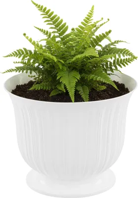 Zdjęcie produktu dla Doniczka miska osłonka Ø 16 cm H 14 cm okrągła biała na nóżce żłobienia