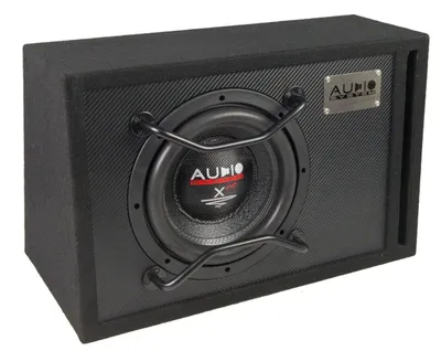 Zdjęcie produktu dla System audio X10 EVO BR – subwoofer z obudową typu bass-reflex, 25 cm