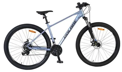 Produktbild von Volare X-Trail MTB - Jungen - 29 Zoll - L - Grau - 21 Gänge