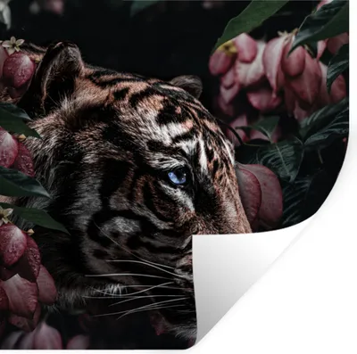 Produktbild von MuchoWow® - Wierderverwendbar - Selbstklebend