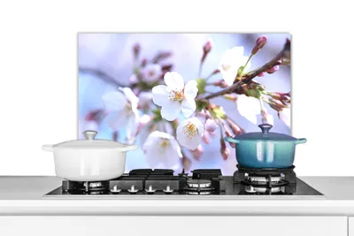 Obrázek produktu pro KitchenYeah® Splashback kitchen - Kuchyňský splashback - Ochrana stěny sporáku a dřezu - Květiny - Sakura - Větev 60x40 - Alu-Dibond (alternativa ke skleněnému splashbacku) - Tepelně odolný - Splashback na sporák