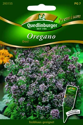 Produktbild von Oregano, mehrjährig | Oreganosamen von Quedlinburger