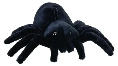 Productafbeelding van Maskotje Spin Beppe, ZOO, 15 cm