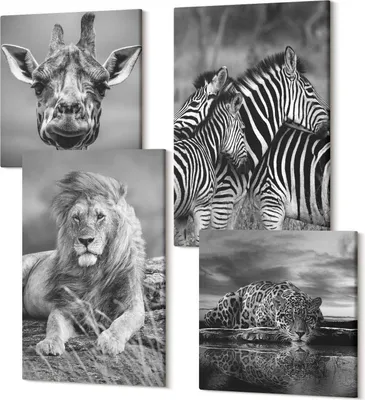 Produktbild von Leinwandbild Set 4-teilig – Modernes Wandbild – Polycanvas Kunstdruck – Abstrakte Bilder – Hochwertige Wandkunst – 2x 40x40 cm + 2x 40x60 cm – Wilde Tiere Löwe Jaguar Giraffe und Zebras