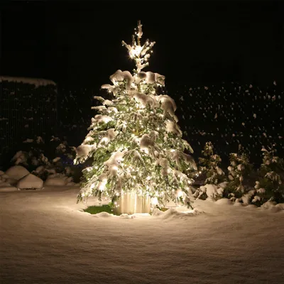 Produktbild von CLGarden LED Premium Lichterkette IP68 40 Meter 400 Lichter außen innen Kette warm weiss
