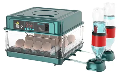 Immagine prodotto di Incubatrice per uova, controllo automatico della temperatura, ampia capacità di uova, per 15 uova