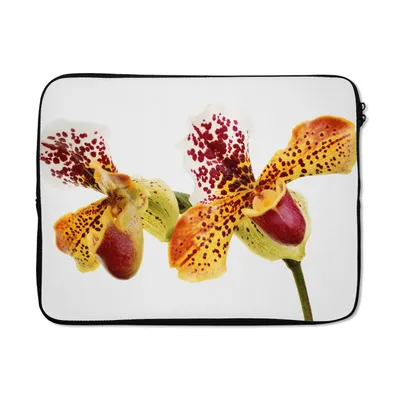 Produktbild von MuchoWow® Laptop Hülle 15 Zoll Orange Orchidee Laptoptasche - Laptoptasche - Sleeve - Rundum-Schutz