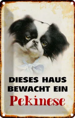 Produktbild von vianmo Blechschild 30x20 cm Hund dieses Haus bewacht ein Pekinese Tier Haustier