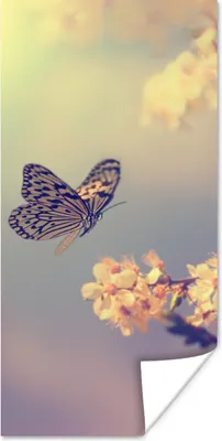 Produktbild von MuchoWow® Poster Schmetterlinge - Blüte - Zweig - Baum 20x40 cm - Plakat - Foto