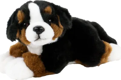Produktbild von Berner Sennenhund Kuscheltier liegend 25 cm Teddys Rothenburg