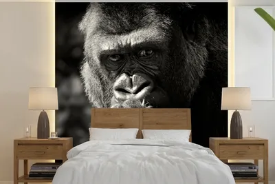 Produktbild von MuchoWow® Fototapete für Wohnzimmer oder Schlafzimmer Wandtapete Vinyl Motivtapete Tierprofil Gorilla in schwarz und weiß - 350x350 cm - Schlafzimmertapete