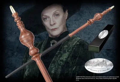 Image de Laska Profesora Minervy McGonagall - Replika z Harry'ego Pottera