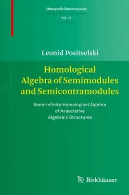 Produktbild von Homological Algebra of Semimodules and Semicontramodules