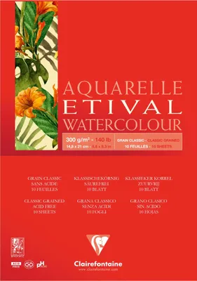 Produktbild von Clairefontaine 5x Etival Aquarellpapier, Block A5 geleimt, 10 Blatt 300g 96389C