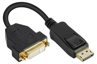 Zdjęcie produktu dla Alcasa DP-AD06, 0,2 m, DVI-I, DisplayPort, Męska, Żeńska, 1080p
