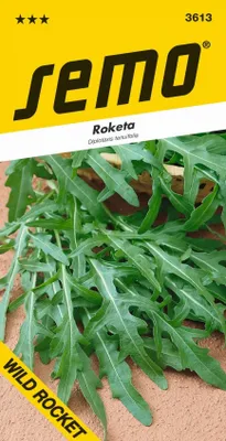 Produktbild von Samen - RUCOLA ´WILD ROCKET´