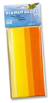 Obrázok produktu pre Folia 91091, Umelecký papier, 20 g/m², 10 listy