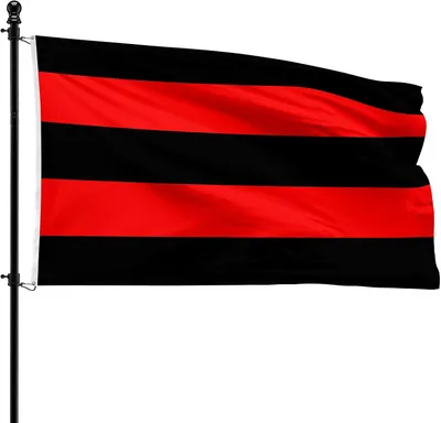 Imagen del producto de Bandera del municipio de Scherpenheuvel-Zichem, 90 x 150 cm, de poliéster, para asta de bandera