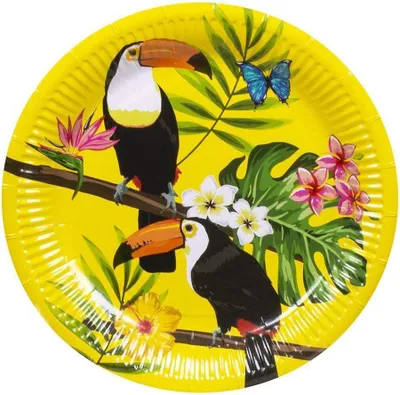 Produktbild von „Tucan“: 6 mehrfarbige Pappteller mit Ø 23 cm