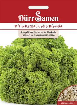 Produktbild von Dürr-Samen - Pflücksalat Lollo Bionda - Saatgut - 4127