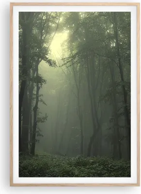 Produktbild von Gerahmtes Poster - Rahmen in heller Eiche - Wald Nebel Baum - 70x100 cm - Wand Bild - Wanddeko - Wandbilder - Wandposter - Bilderrahmen - Bilder - Kunstdruck - Wandbild - P2NPA70x100-3543