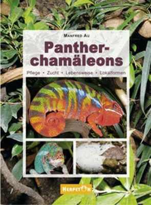 Produktbild von Pantherchamäleons