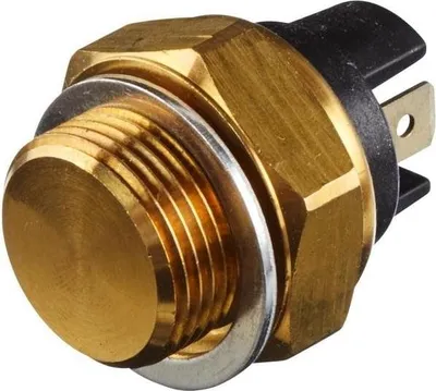 Image de Interrupteur de température (ventilateur de radiateur)