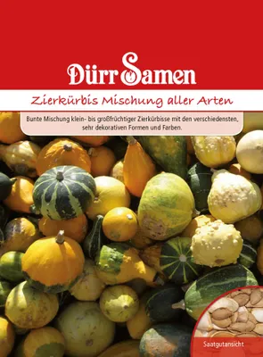 Produktbild von Zierkürbis Mischung | Zierkürbissamen von Dürr Samen