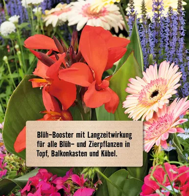 Produktbild von Düngestäbchen für Blühpflanzen & Zierpflanzen FloraSelf Select, 30 Stk.