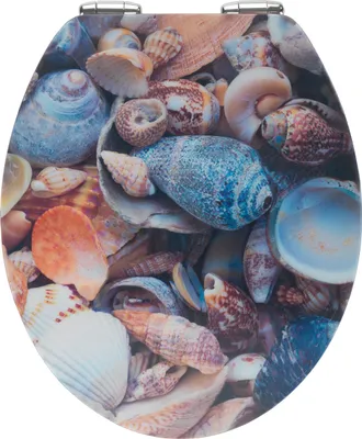 A close-up, top-down view of a toilet seat with a printed design of various seashells.